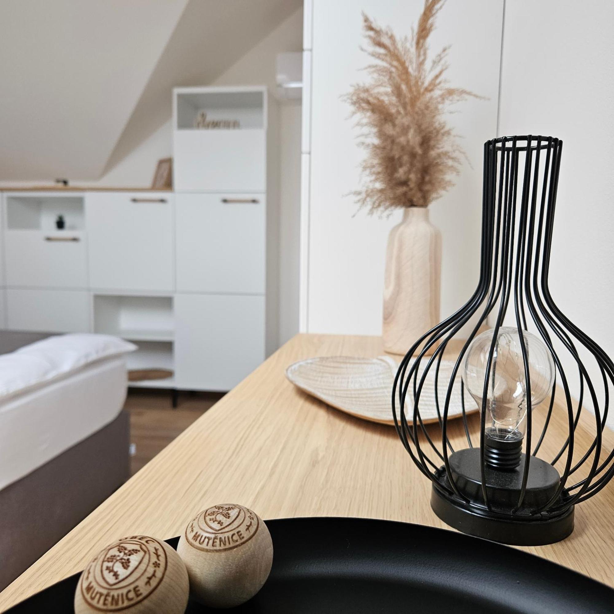 Pod Vinohradem - Apartmany & Vinne Sklepy Мутєніце Екстер'єр фото
